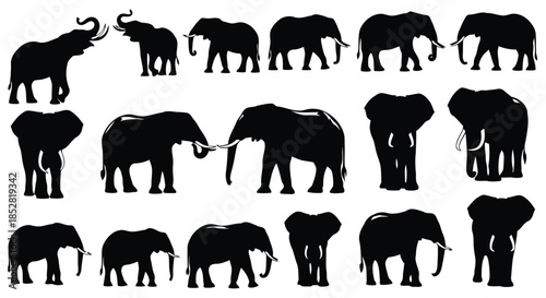 Collection of black elephant silhouettes on white background vector