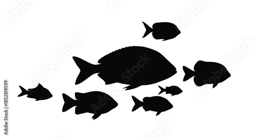 Seven black fish silhouettes on white background vector