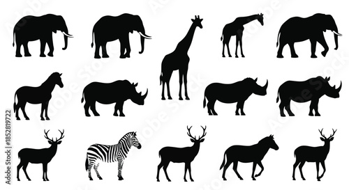Black silhouettes of various wild animals on white background vector