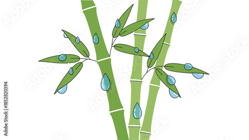 Bamboo stalks with leaves and water droplets