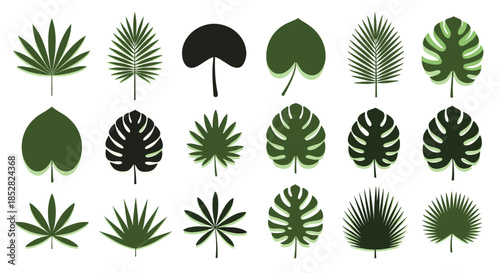 Tropical jungle leaf silhouettes including monstera and palm fronds in various shades of green for nature and floral designs.