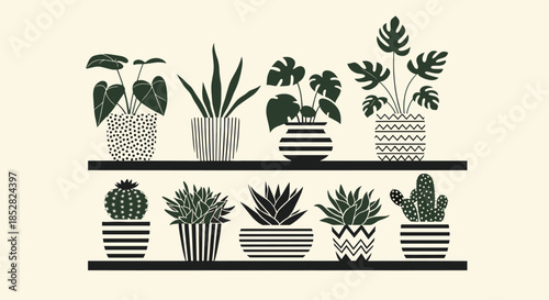 Stylish indoor plants collection featuring various silhouettes of potted succulents and tropical leaves arranged on black shelves.