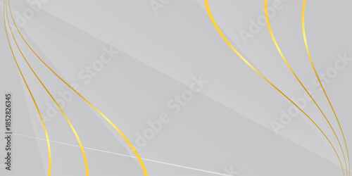 luxury white and grey with golden lines background. vector illustration.