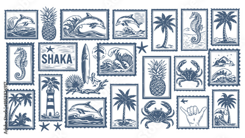 Collection of vintage style tropical elements and symbols Vector, illustration