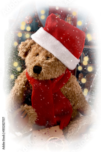 Christmas portrait of teddy bear wearing Santa hat through a frosted window