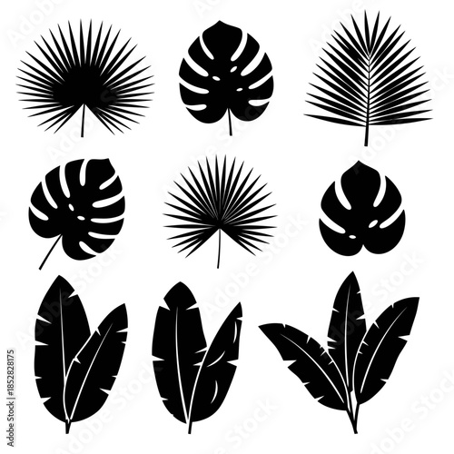 Stunning collection of black tropical leaf silhouettes for modern design projects, adding a touch of natural elegance and exotic flair to any visual.