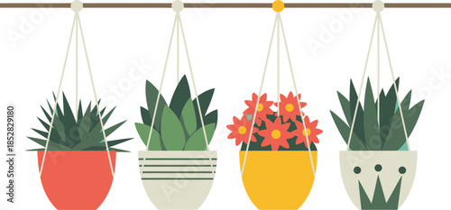 Four Hanging Potted Plants with Colorful