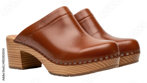 Quadro su tela Pair of brown leather clogs isolated PNG on transparent background, stylish wome