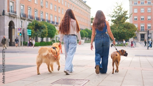 Canvas Print Young women walking dogs on urban city street
