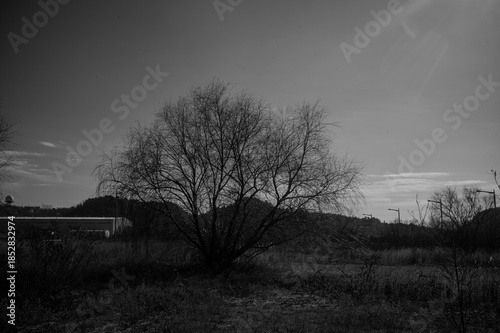 Wallpaper Mural 영종도 풍경  Torontodigital.ca