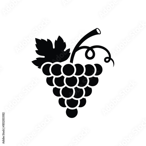 Illustrated grape cluster isolated on white background, Vector, illustration