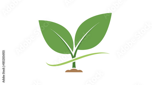 Green seedling with two leaves emerging from soil