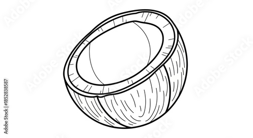 Line Art Illustration of Half a Coconut on White Background