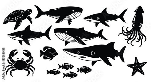 Black silhouettes of various sea creatures on white background vector