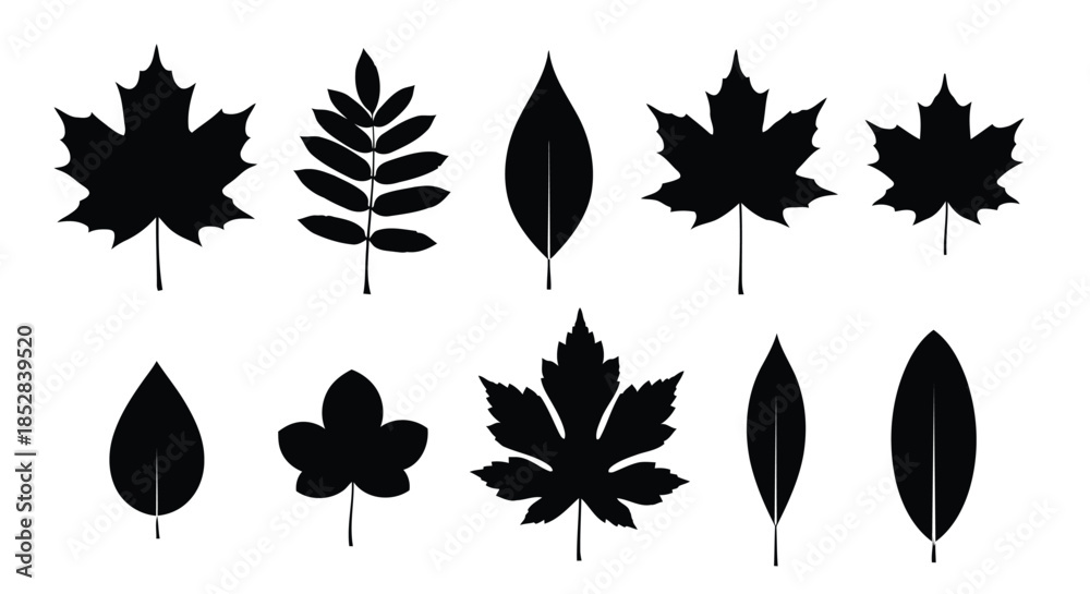 Fototapeta premium Collection of black leaf silhouettes on white background vector