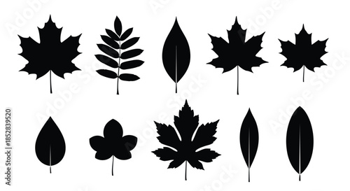 Collection of black leaf silhouettes on white background vector