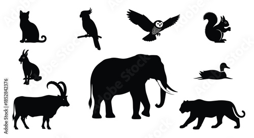 Collection of animal silhouettes on white background vector