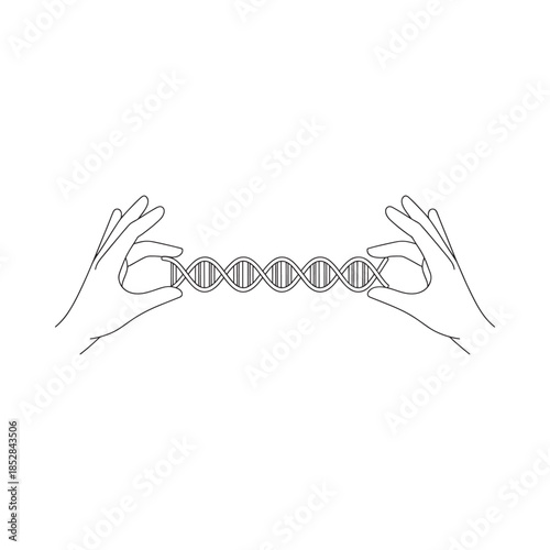 Hands delicately holding a double helix structure representing dna and genetic code