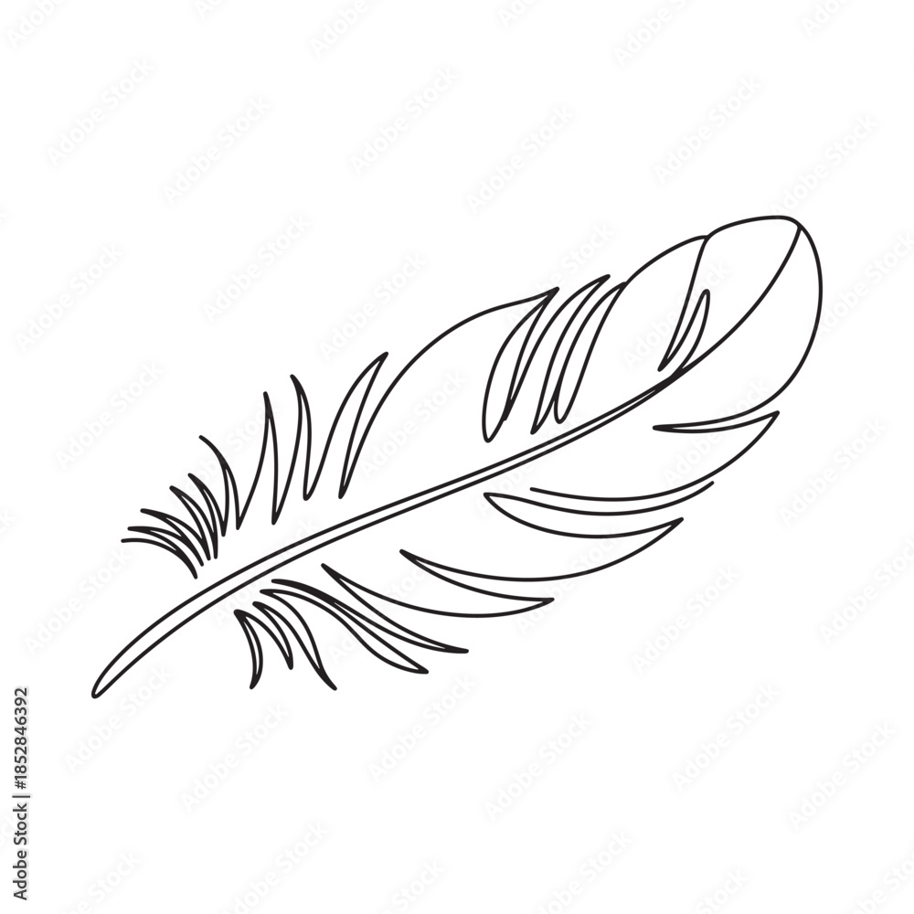 Fototapeta premium A delicate black and white line drawing of a single feather illustration