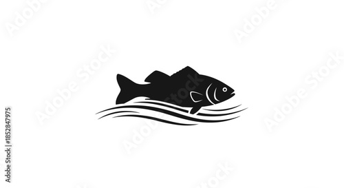 Black fish swimming in water.