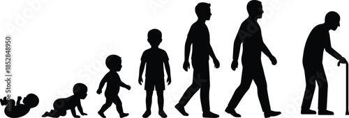 Silhouette, of, male, life, cycle, stages, from, newborn, baby, to, crawling, toddler, child, boy, teenager, adult, man, senior, elderly, evolution