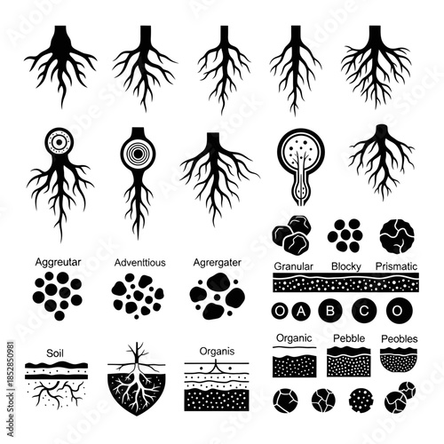 Explore soil types and root systems with this comprehensive black and white illustration perfect for educational materials and scientific publications about botany