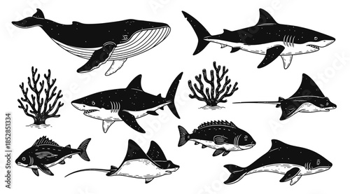 Ocean Animal Linocut Set Whale Grunge Print Woodcut Stamp Wild Sea Mammal Silhouette Summer Marine Retro Collection