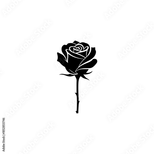 Black rose silhouette isolated on transparent background