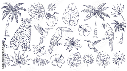 Tropical wildlife and foliage collection in black and white Vector, illustration