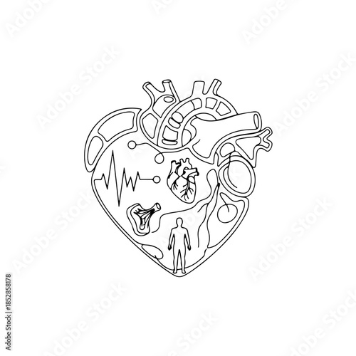 Human heart anatomy illustration isolated on transparent background