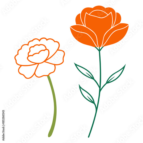 carnation orange line art on white