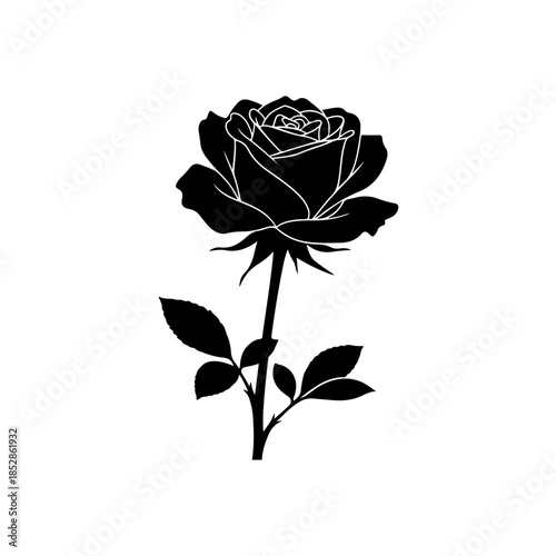 Black rose silhouette isolated on transparent background