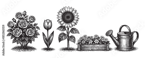 A charming vintage illustration features a bouquet of roses, a single tulip, a sunflower, a flower box, and a watering can in a black and white ink sketch style on a white background.