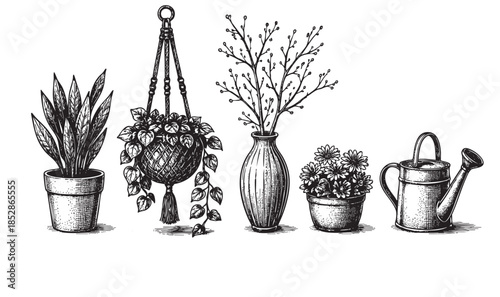 A charming collection of vintage-style illustrations featuring various potted plants, a hanging basket, a vase with branches, and a watering can, perfect for garden and home decor themes.