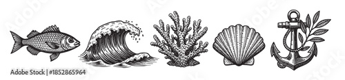Collection of five black and white engraved illustrations featuring a fish, crashing wave, coral, seashell, and anchor with foliage on a white background.