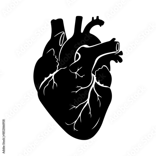 Silhouette of a human heart isolated on transparent background