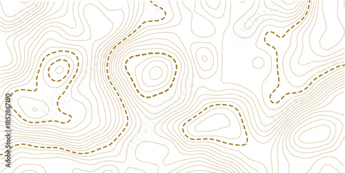 Black and white topographic map background. Topographic map lines. Monochrome topographic terrain lines with space for text. 