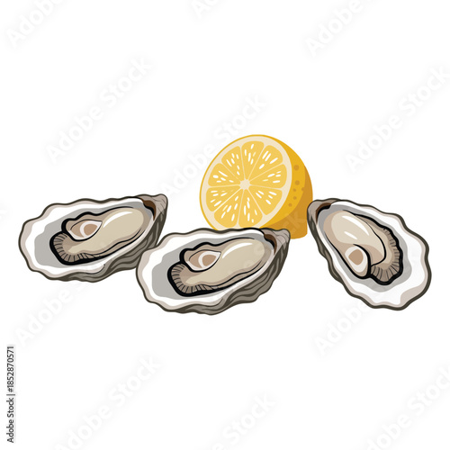 The illustration depicts three oysters spaced from left to right, a halved yellow lemon, and a white background.