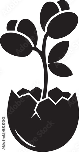 Black silhouette of a sprouting plant emerging from a cracked eggshell seedling growth new life