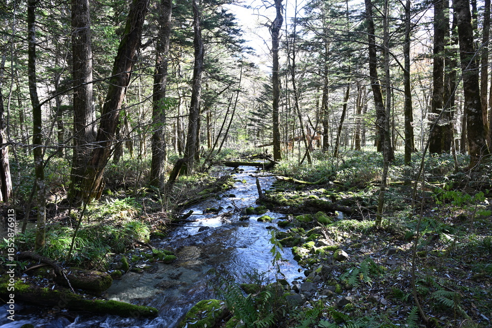 Obraz premium 秋の上高地