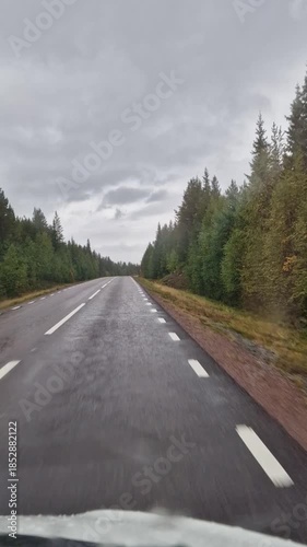 A road trip through Scandinavia is defined by vast forests, countless lakes, frequent rain, and a strong feeling of wilderness and solitude. The landscape is dominated by boreal forest, calm w