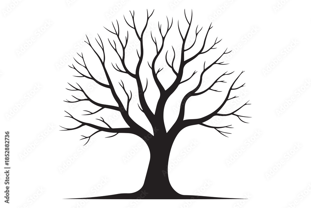 Obraz premium Leafless tree silhouette on white background 