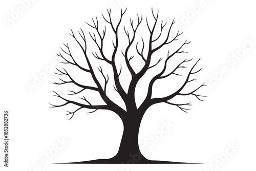 Leafless tree silhouette on white background
