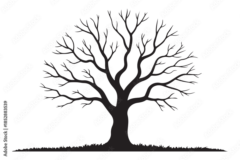Fototapeta premium Leafless tree silhouette on white background 