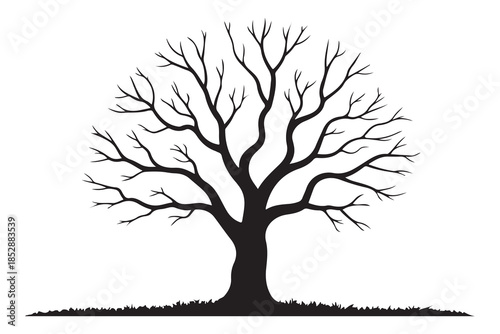 Leafless tree silhouette on white background
