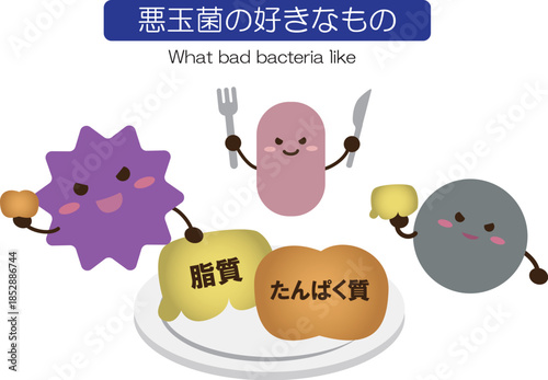 悪玉菌の好きなもの　シンプル