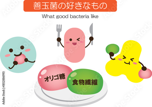 善玉菌の好きなもの　シンプル