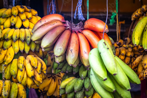 фотографія market in sri lanka, fresh red bananas, fruit, healthy, organic, ceylon, asia, k