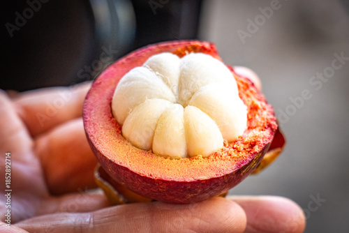 Canvastavla market in sri lanka, fresh mangosteens, fruit, healthy, organic, ceylon, kandy