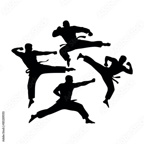 Silhouettes of martial artists performing dynamic kicks and punches in unison.